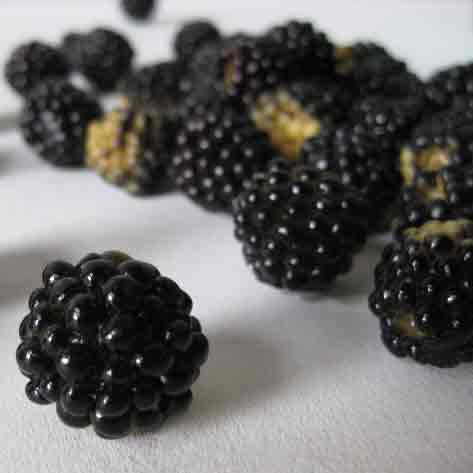 FRUIT, Artificial - Blackberry (Price Per Punnet)